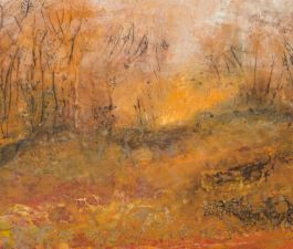 Lueur à  l'orée du Bois