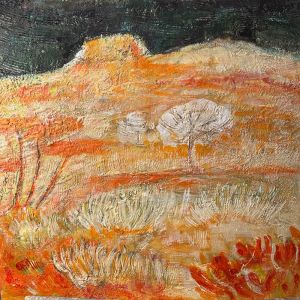 nuit noire /Black night